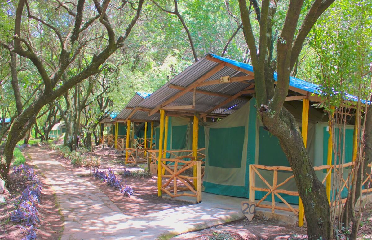 Olailepo Mara Camp tents